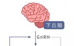 沈阳盛京医院生殖科张玮出诊动态查询，内含预约方式参考