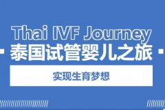 24个胚胎全部养囊好还是冷冻好？四个建议看完不纠结