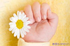 美国生孩子福利政策2025最新解读-过来人教你避开这些坑