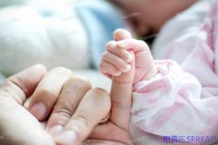 格鲁吉亚当年助孕价格-一位助孕顾问的十年沉浮手记