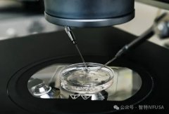 泰国EK国际医院 | EKI辅助生殖研究中心