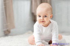 格鲁吉亚辅助生育法案-助孕顾问lina的十年观察手记