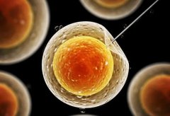 2025帕雅泰3生育指南-当我们在选择医疗方案时-实际在选择什么