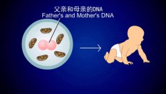 美国试管婴儿完成时间-过来人聊聊那些年我们踩过的坑