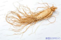 中国去泰国做试管价格-过来人告诉你-省下的每一分钱都可能踩坑