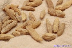 老友支招-在泰国bnh医院官网找助孕信息-这些坑我替你踩过了