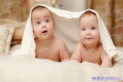 美国生娃新变局-十年顾问的老友手记