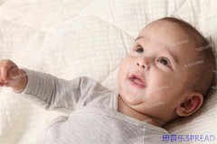 选择美国进行试管婴儿的理由-过来人聊透那些年我们踩过的坑