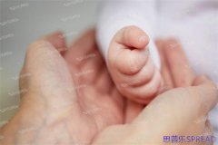 美国试管婴儿方案类型全解析-资深助孕顾问掏心窝子说方案