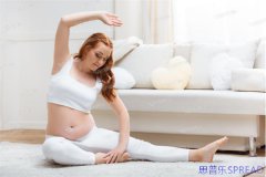 美国试管婴儿多吗-一位助孕顾问的十年见闻录