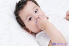 美国捐卵机构怎么选-过来人给你划重点