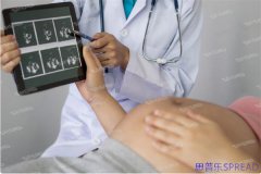 格鲁吉亚世界子宫-助孕顾问lina的十年亲历手记