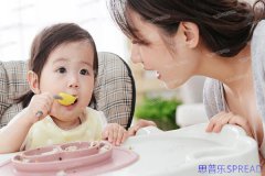 格鲁吉亚生子的法律流程-助孕顾问lina的十年亲历手记