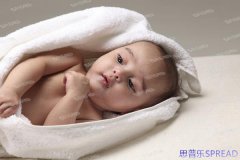 泰国试管婴儿可靠吗-一位老助孕顾问的心路分享