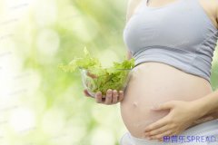 格鲁吉亚助孕卵子谁提供了什么-十年顾问拆解那些年我们共同跨过的坎