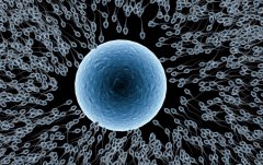 美国三代试管-10年老友的真话-科学备孕路上的每一盏灯-标题
