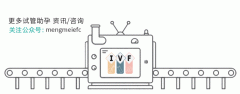 6.1儿童节 在IVF的旅途中 我们均是逐梦少年|锦欣国际