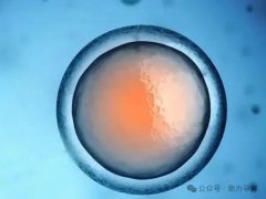 马来西亚试管婴儿这些细节你了解么？