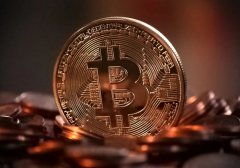 上海私立生殖医院试管婴儿费用多少钱，2024各阶段收费明细看这！