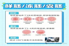【高龄备孕】40岁以上高龄女性也能迎新生：提升试管婴儿冻胚移植成功率的关键方法\x26quot;