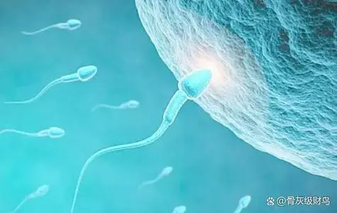 深圳私人机构做供卵代怀靠谱吗?附用明细一览相关费