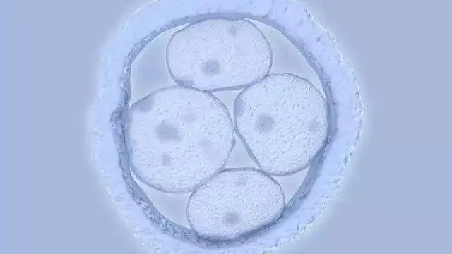 广州助孕网三代试管助孕费用在线一览