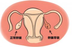 美国试管专家1v1会诊【深圳场】倒计时1天，帮您走出生育困境！