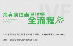 在美国做试管婴儿的条件