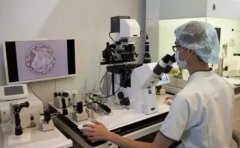## 美国试管婴儿费用大约多少？详细解析助你做好经济准备