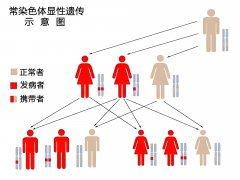 美国试管婴儿基因筛查技术：保障宝宝健康诞生！