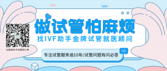 男女做单身试管的最佳时间是多久？2025年“单身试管时间安排+流程规划”指南-男女通用版！