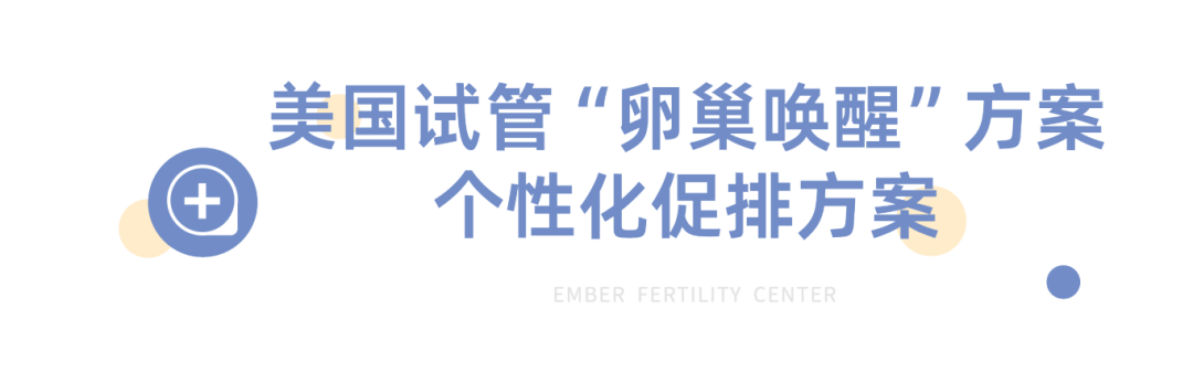 标题_低版本-02.png