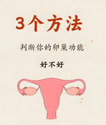 试管婴儿中如何判断自己的卵巢功能好坏？