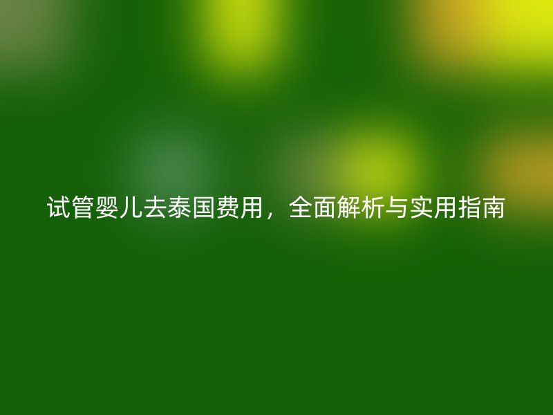 试管婴儿去泰国费用，全面解析与实用指南