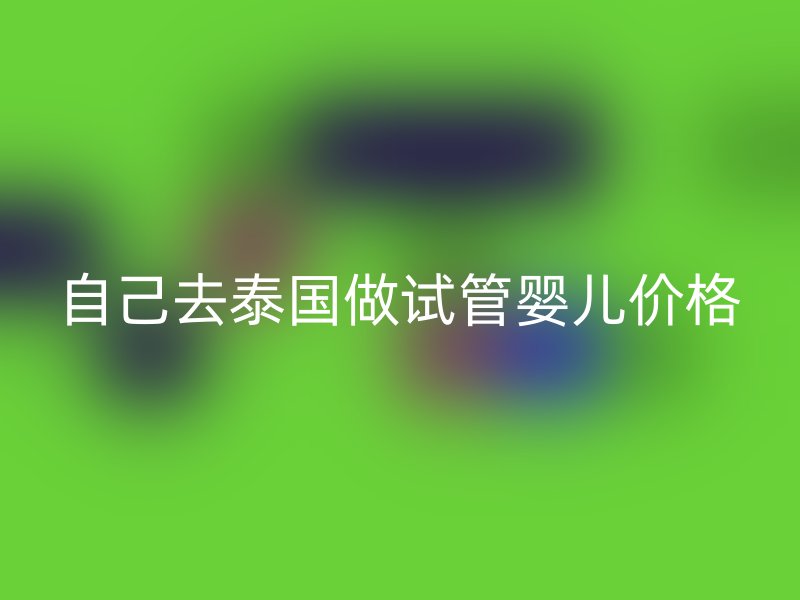 自己去泰国做试管婴儿价格