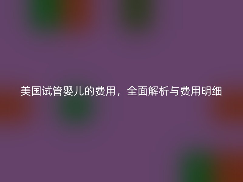 美国试管婴儿的费用，全面解析与费用明细