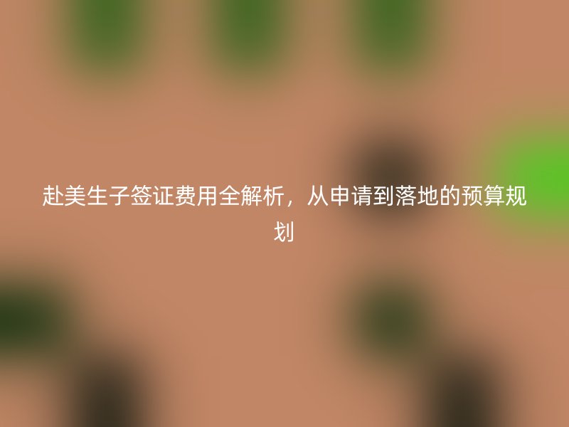 赴美生子签证费用全解析，从申请到落地的预算规划
