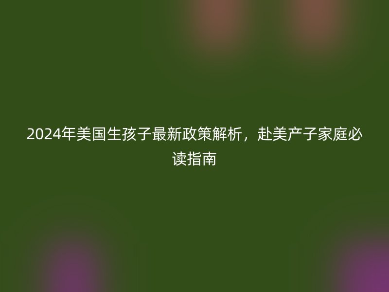 2024年美国生孩子最新政策解析，赴美产子家庭必读指南