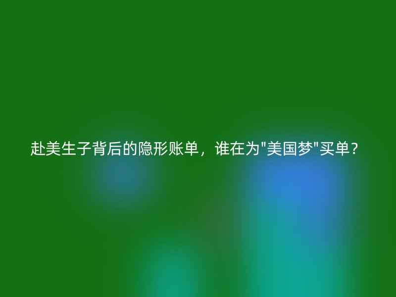 赴美生子背后的隐形账单，谁在为