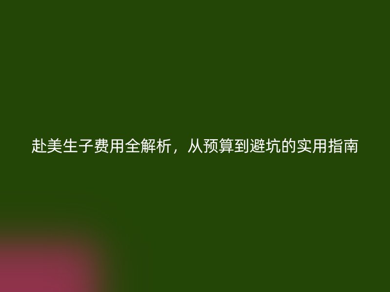 赴美生子费用全解析，从预算到避坑的实用指南
