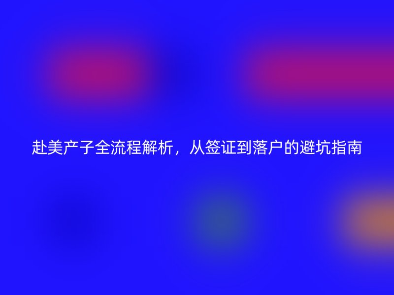 赴美产子全流程解析，从签证到落户的避坑指南