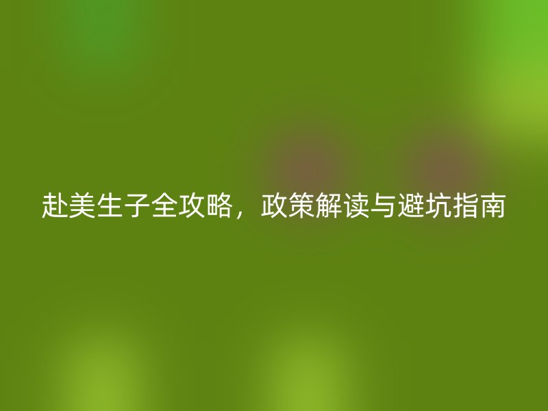 赴美生子全攻略，政策解读与避坑指南