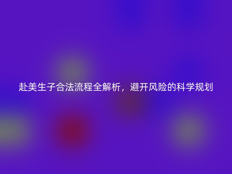 赴美生子合法流程全解析，避开风险的科学规划
