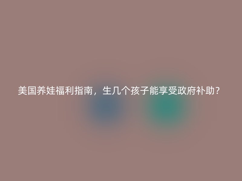 美国养娃福利指南，生几个孩子能享受政府补助？