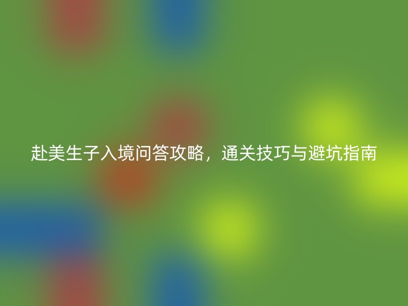 赴美生子入境问答攻略，通关技巧与避坑指南