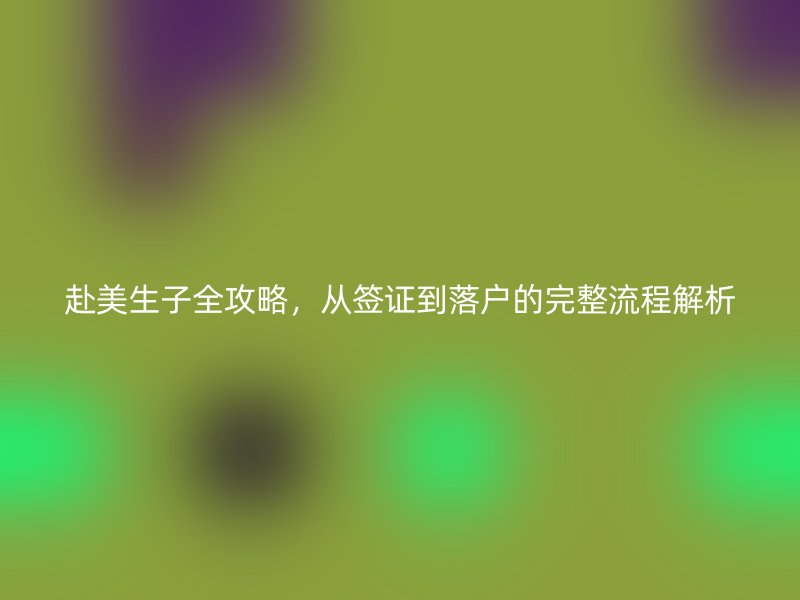 赴美生子全攻略，从签证到落户的完整流程解析