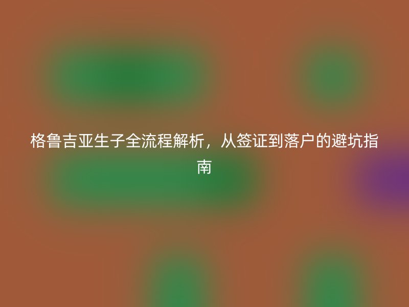 格鲁吉亚生子全流程解析,从签证到落户的避坑指南