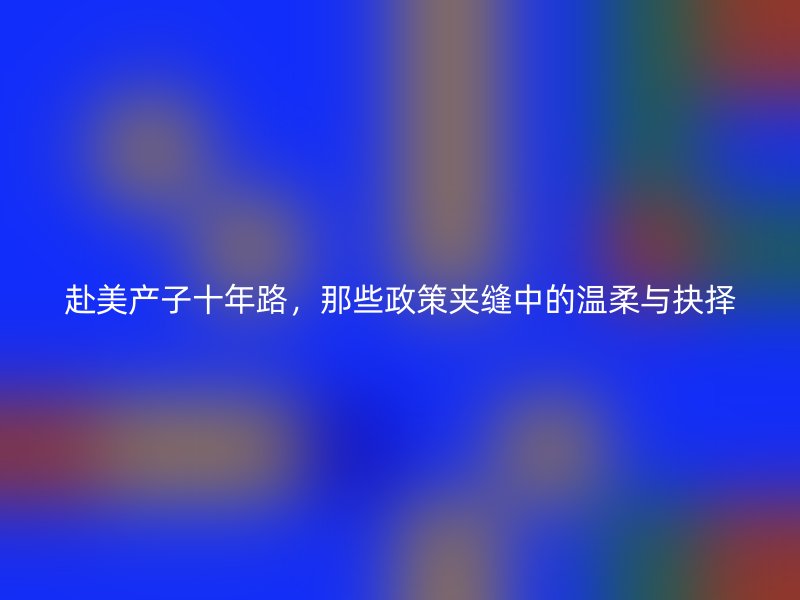 赴美产子十年路，那些政策夹缝中的温柔与抉择
