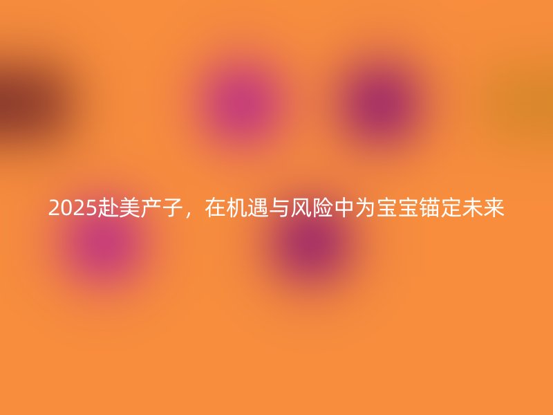 2025赴美产子，在机遇与风险中为宝宝锚定未来