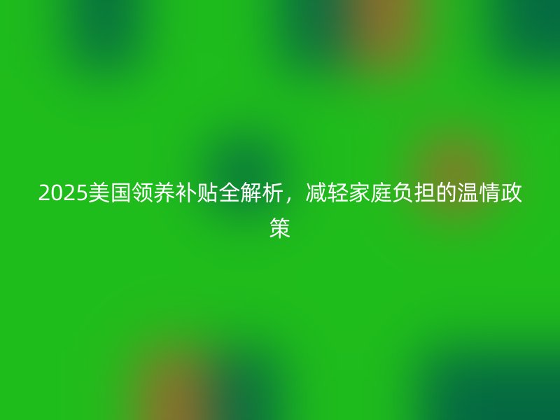 2025美国领养补贴全解析,减轻家庭负担的温情政策